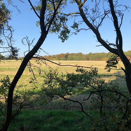 Old Hunters Lodge Whipsnade Limited エクステリア 写真