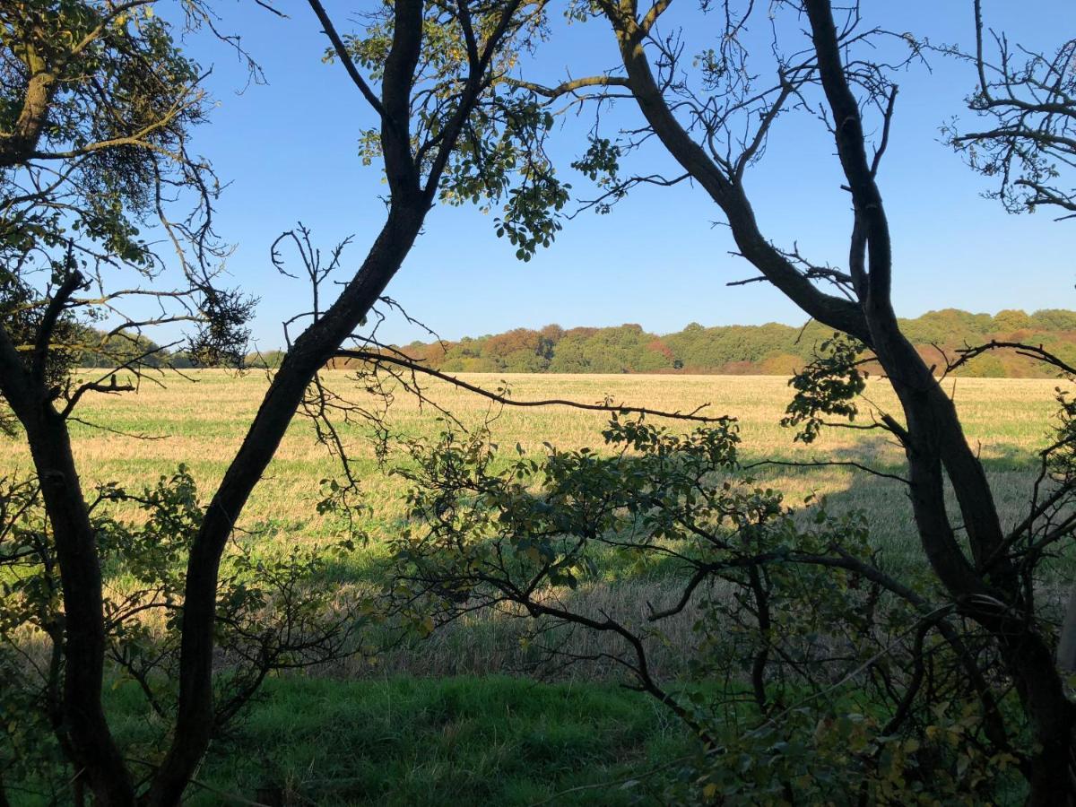 Old Hunters Lodge Whipsnade Limited エクステリア 写真